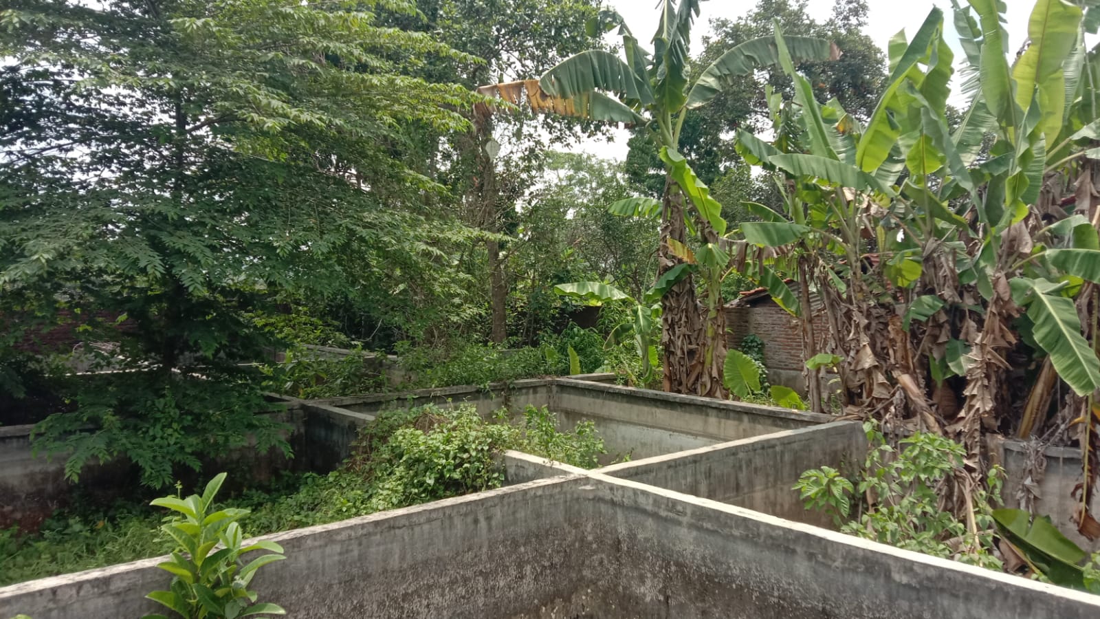 Dijual Rumah Dengan Halaman Luas di Kembaran