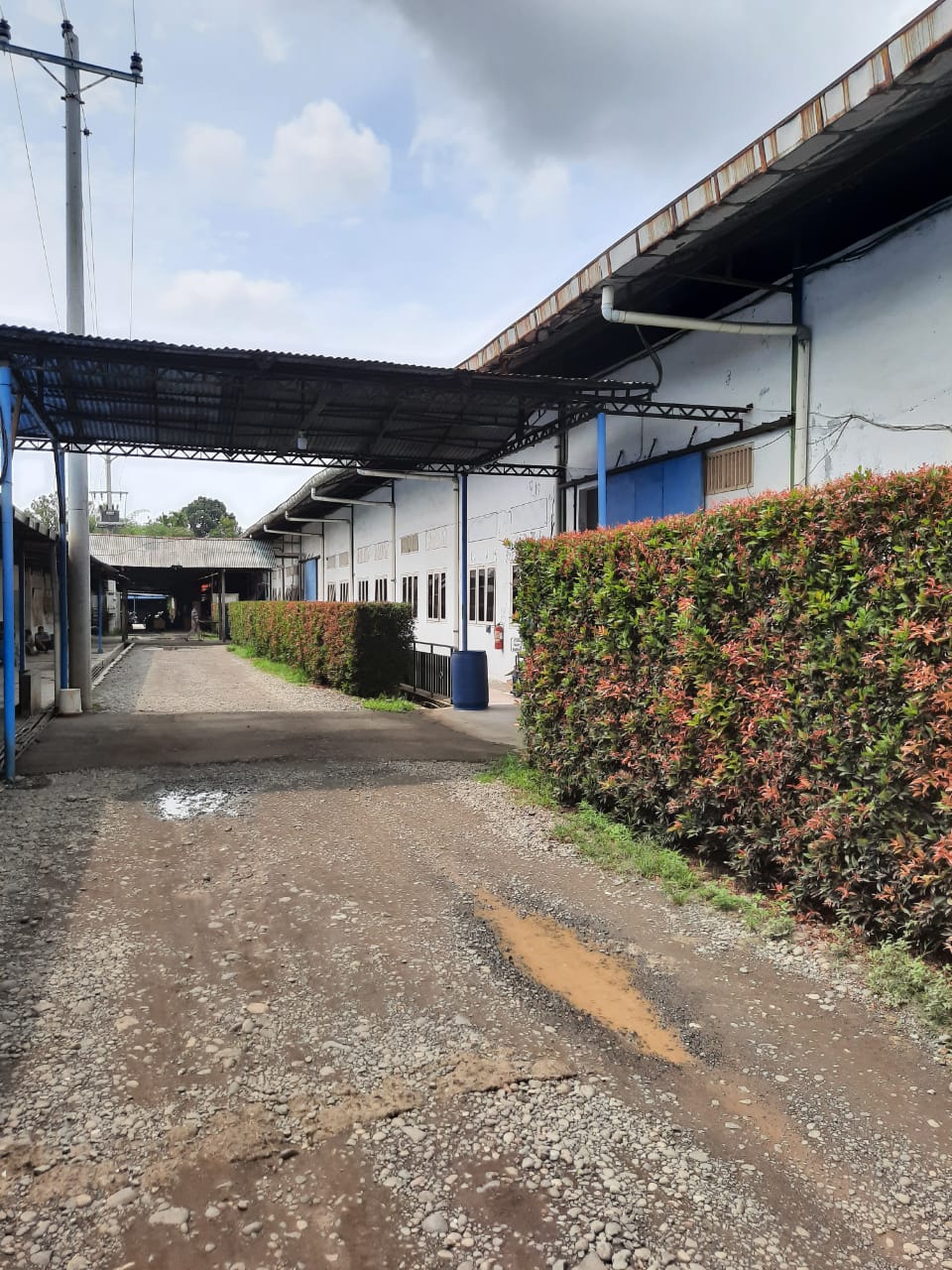 DISEWAKAN TANAH BANGUNAN EX PABRIK, PADAMARA PURBALINGGA