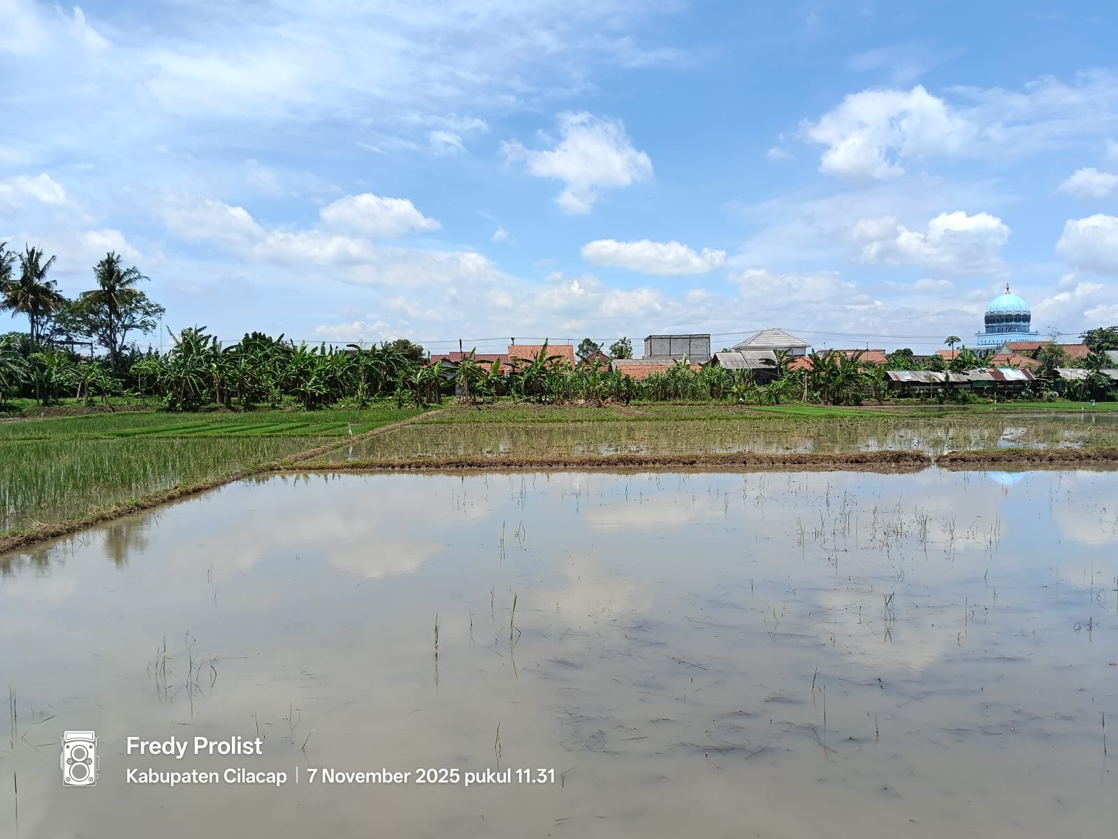 Dijual Tanah Luas Ada Gudang Cocok Untuk Area Pergudangan Di Cilacap Utara