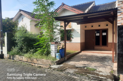 Disewakan Rumah Di Perumahan Tengah Kota dekat dengan Kampus - BAI