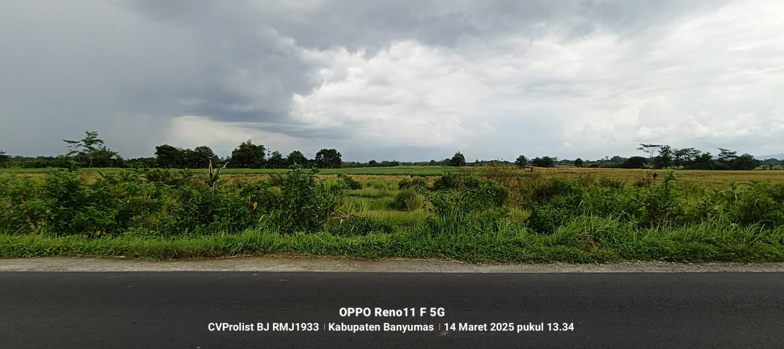 Dijual Tanah di Jalan Raya Kembaran