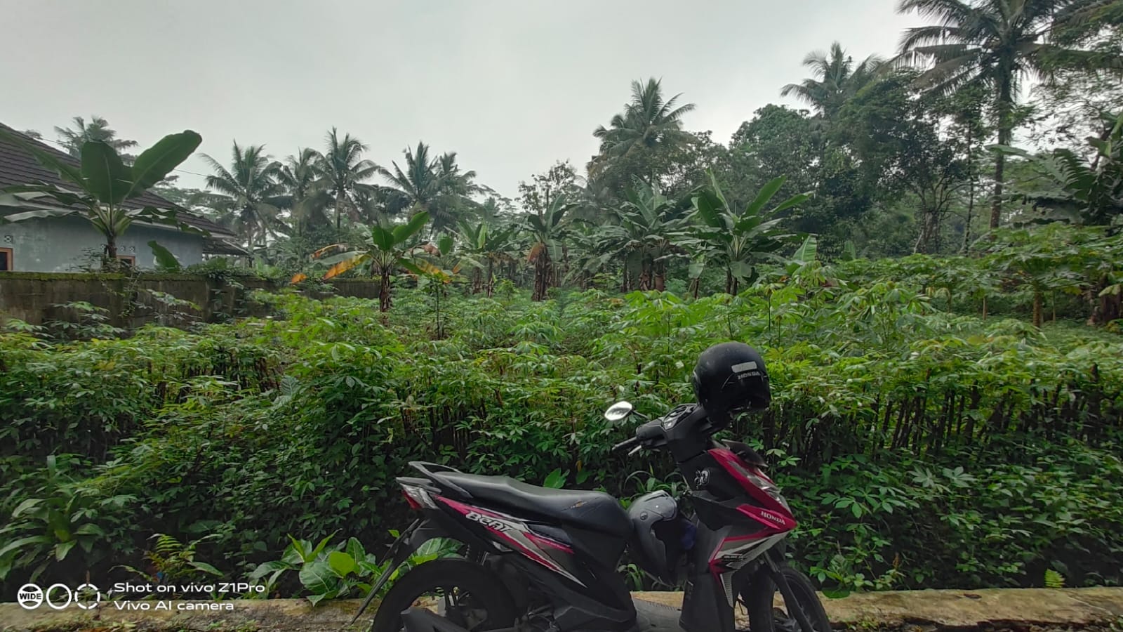 Tanah Murah Lokasi Cocok Untuk Healing - Ciberem Sumbang