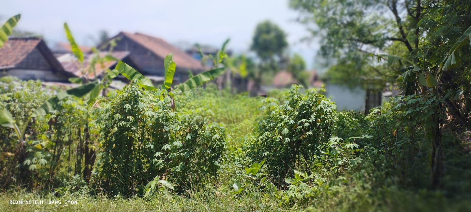 Tanah Bebas Sengketa, 637 m2, Lokasi Karangnanas