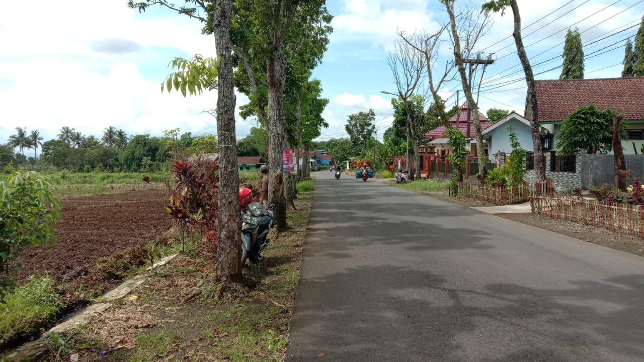 Dijual Tanah Sawah Akses Mobil Papasan - Padamara Purbalingga