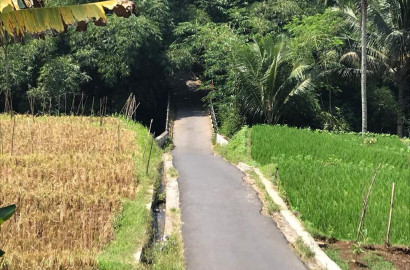 Dijual Tanah Asri View Kali Pelus cocok untuk Investasi anda - Pandak