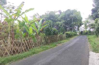 Dijual Tanah 138 Ubin, View Timur, Limpakuwus Baturaden