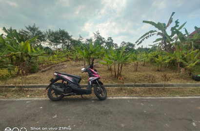 Tanah Murah Dekat Jalan Propinsi Dan Terminal - Pancurawis