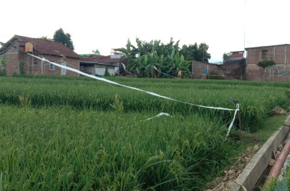 Dijual Tanah Sawah 7 Menit ke Stasiun Purwokerto