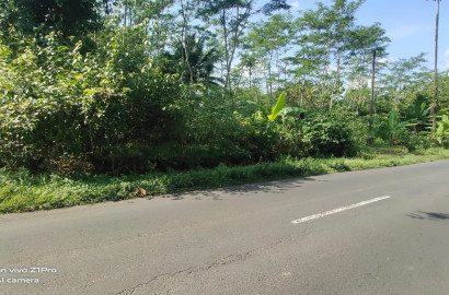 Tanah Strategis Pinggir Jalan Raya 10 Menit Ke Alun-Alun - Kutasari