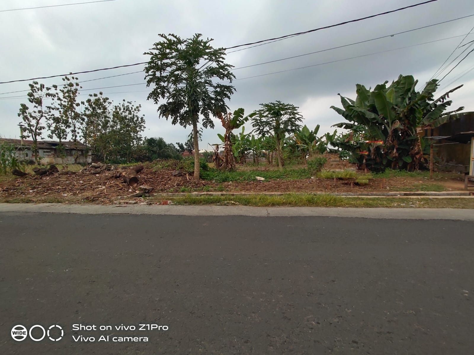 Disewakan Tanah Pinggir Jalan Raya Dekat Kampus UNSUD-Sumbang