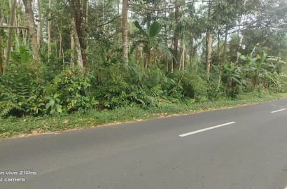 Tanah Strategis Pinggir Jalan Raya Jalur Wisata Baturaden - Kebumen