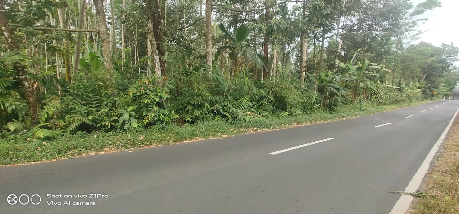 Tanah Strategis Pinggir Jalan Raya Jalur Wisata Baturaden - Kebumen