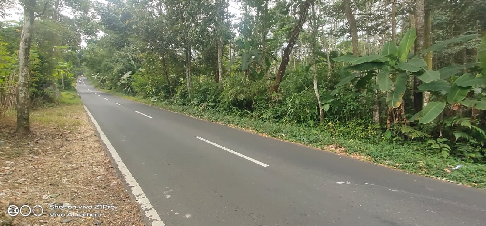 Tanah Strategis Pinggir Jalan Raya Jalur Wisata Baturaden - Kebumen