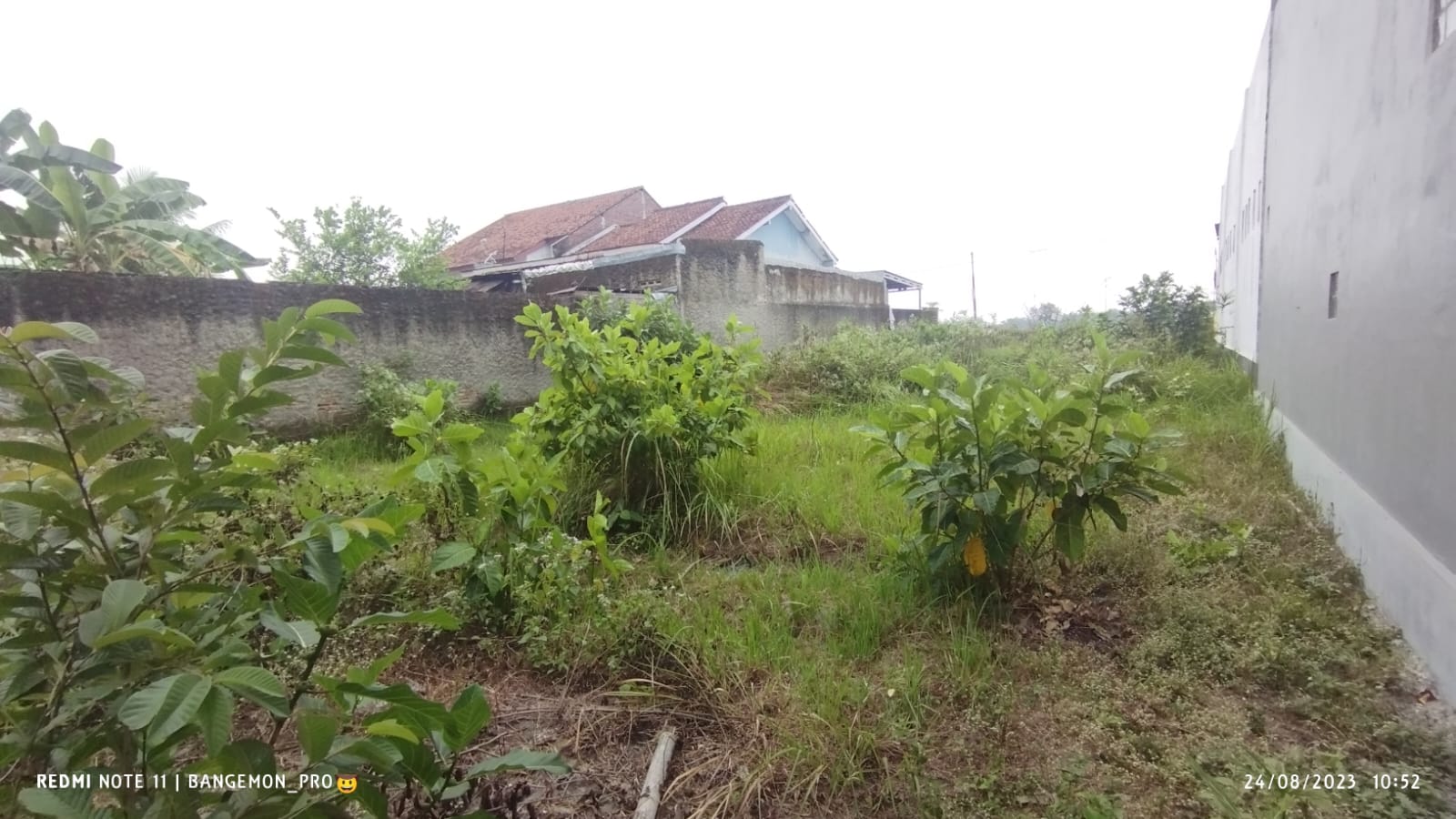 Dijual Tanah Pekarangan Suasana Tenang, 4 Menit Korem 071/Wijayakusuma-Sokaraja