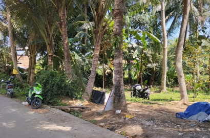 Dijual Tanah Pekarangan Desa Kebocoran Cocok Untuk Berkebun - Kebocoran