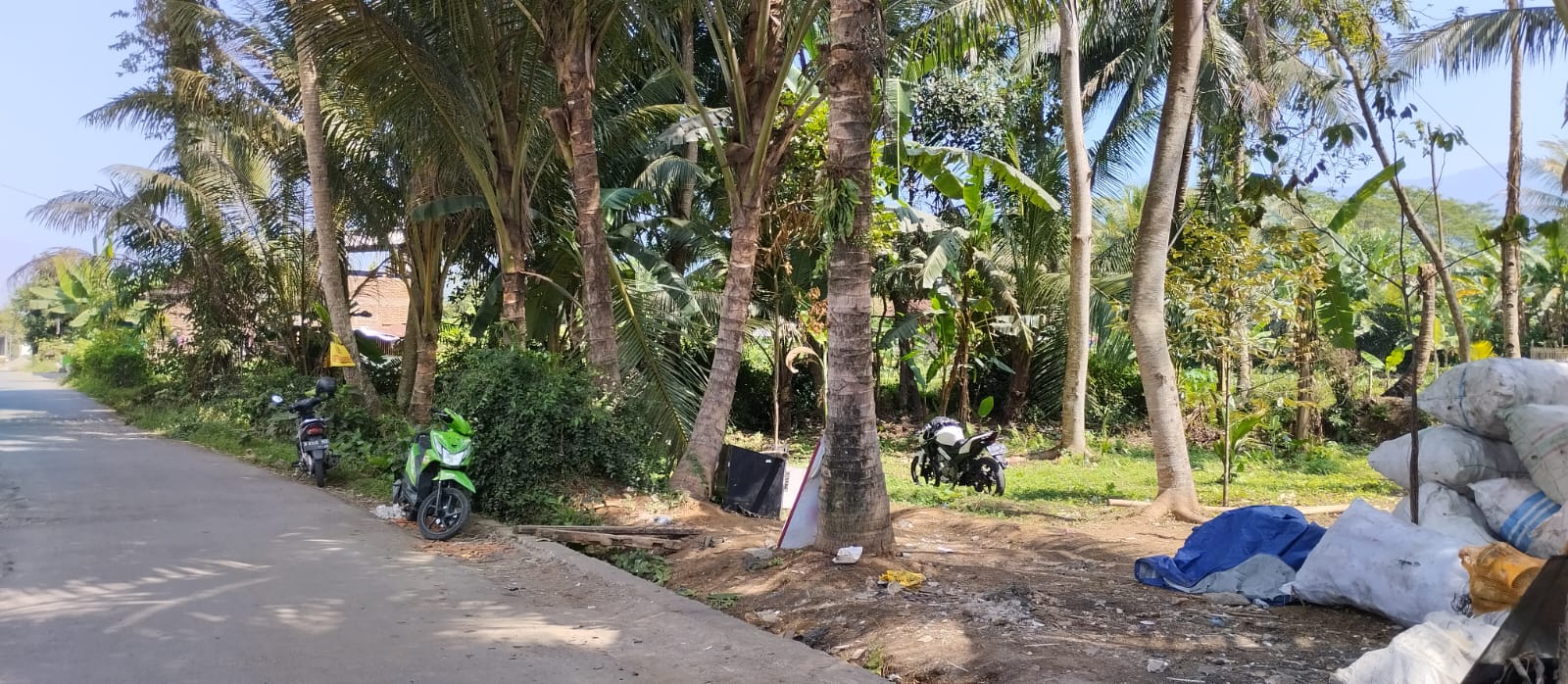 Dijual Tanah Pekarangan Desa Kebocoran Cocok Untuk Berkebun - Kebocoran