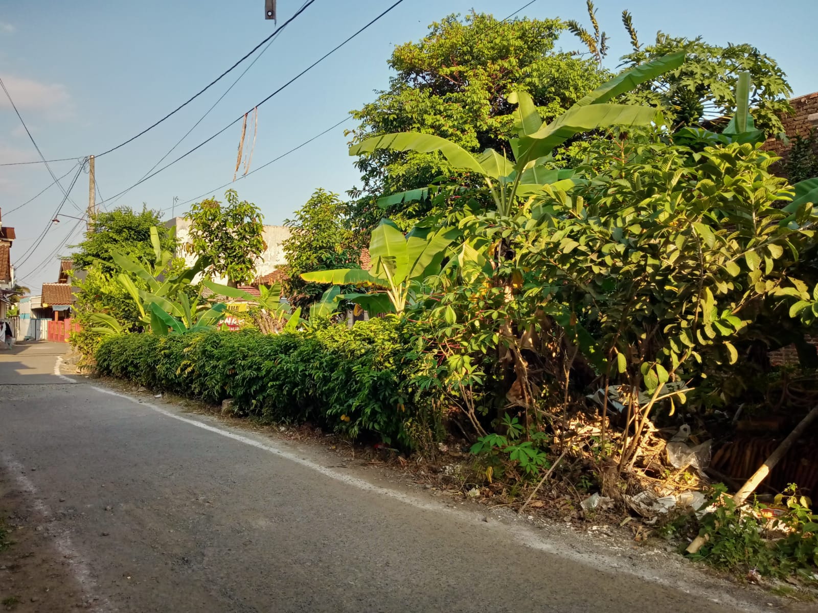 Dijual Tanah Pekarangan 1 Menit Ke Univ Harapan Bangsa