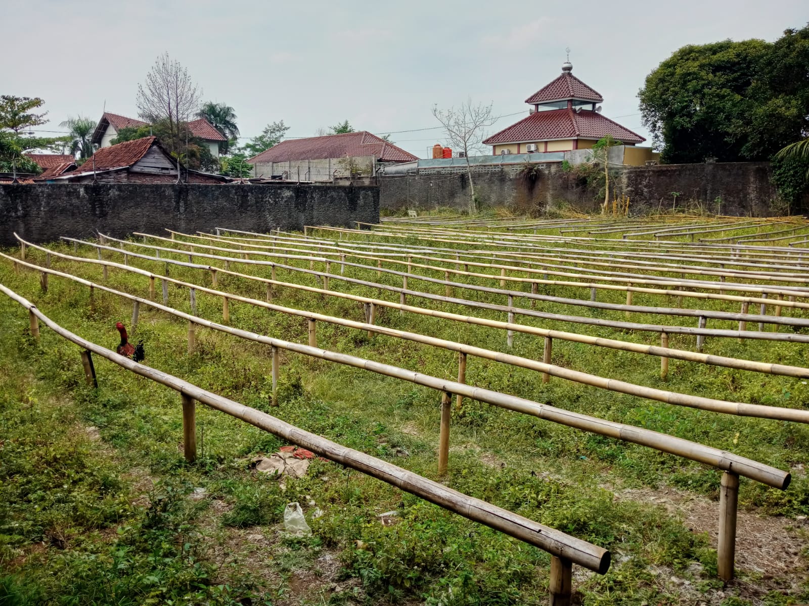 Dijual Tanah Luas Dalam Kota Purwokerto Dekat Univ Jensud