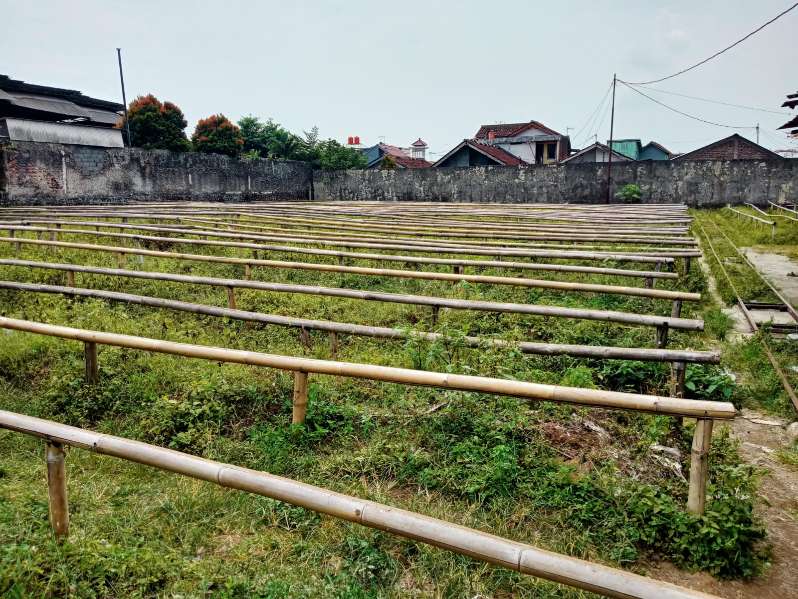 Disewakan Tanah Luas Dalam Kota Purwokerto Dekat Univ Jensud