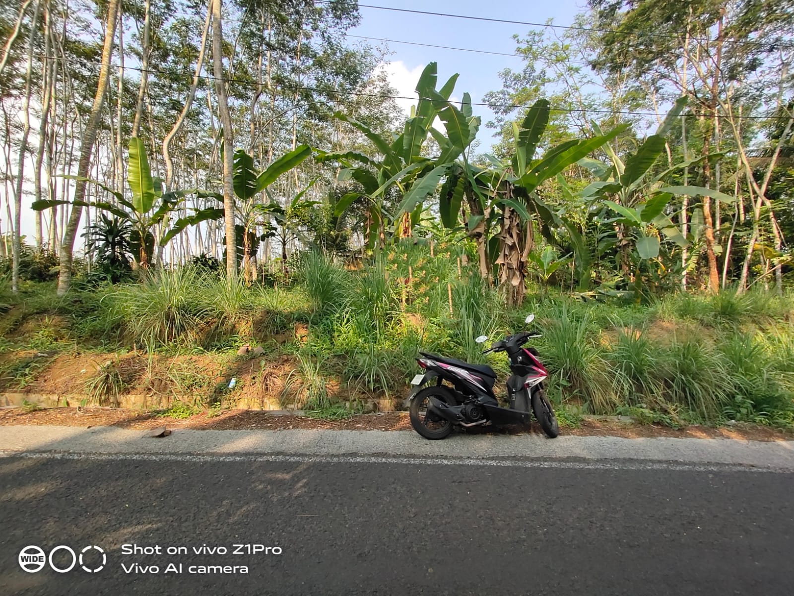 Tanah Berhawa Sejuk Lokasi Dekat Wisata Buken Purwokerto - Sumbang Banjarsari