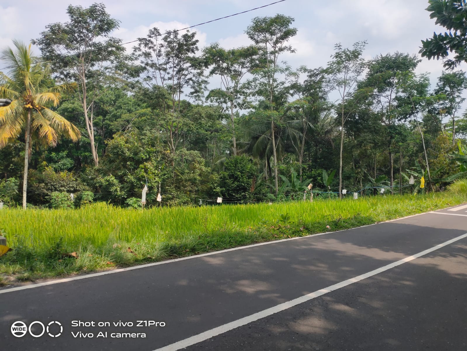 Tanah Strategis Dekat Lokawisata Baturaden Purwokerto - Ketenger Baturraden