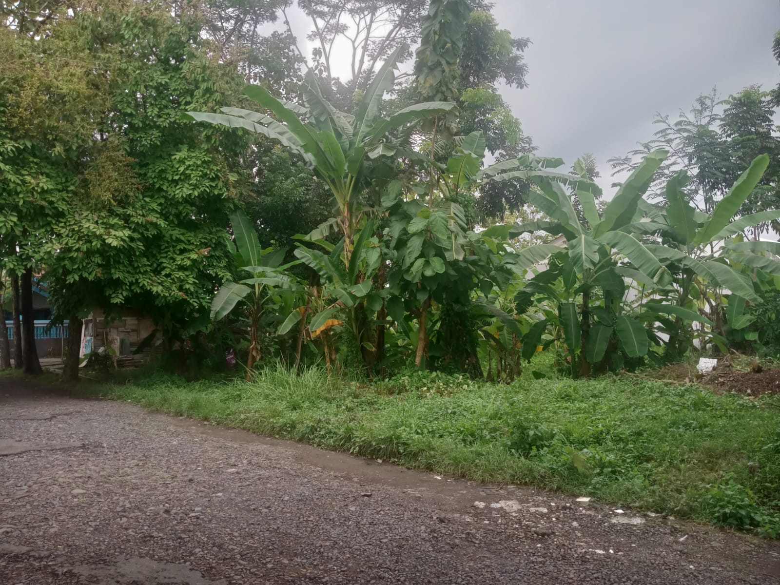 Disewakan Tanah Pekarangan Depan KB/TK Palm Kids - Komplek Stadion Mini Purwokerto