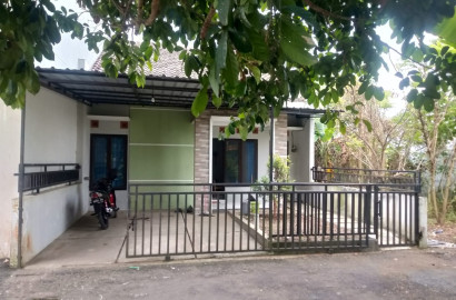 Rumah Halaman Luas Selangkah Kampus UMP Purwokerto