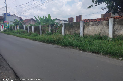 Disewakan Tanah Strategis Dekat Kampus UNSUD