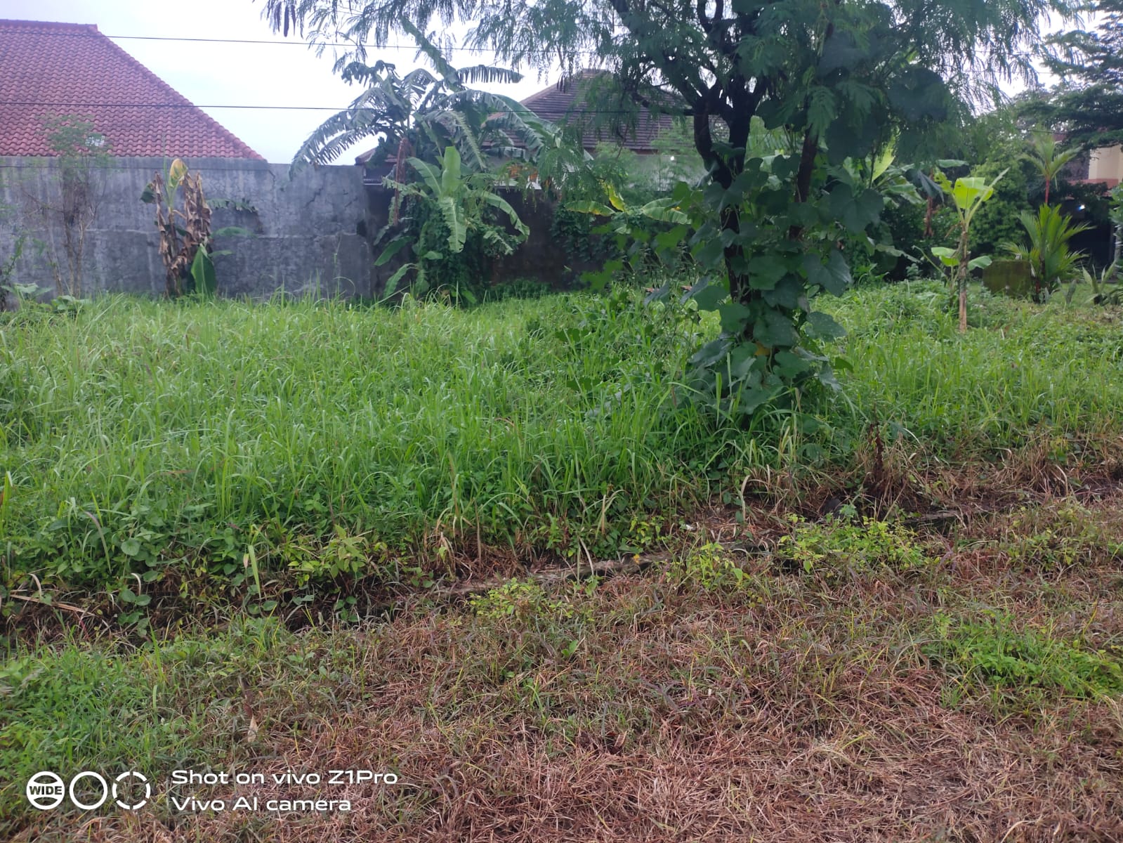 Tanah Lokasi Premium Tengah Kota Purwokerto