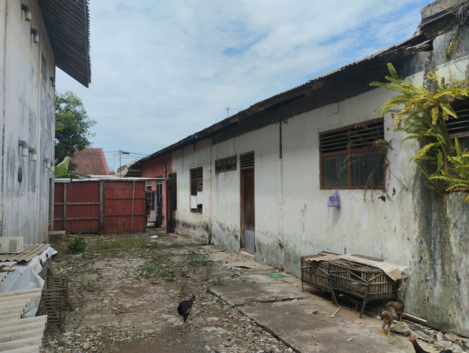 Dijual Rumah Tinggal Berikut Sarang Burung Walet di Cilacap Selatan - JL Kakap Cilacap Selatan