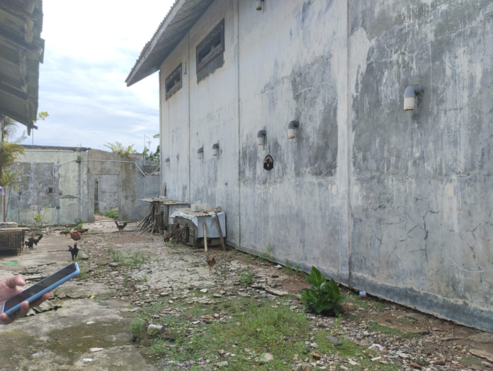 Dijual Rumah Tinggal Berikut Sarang Burung Walet di Cilacap Selatan - JL Kakap Cilacap Selatan