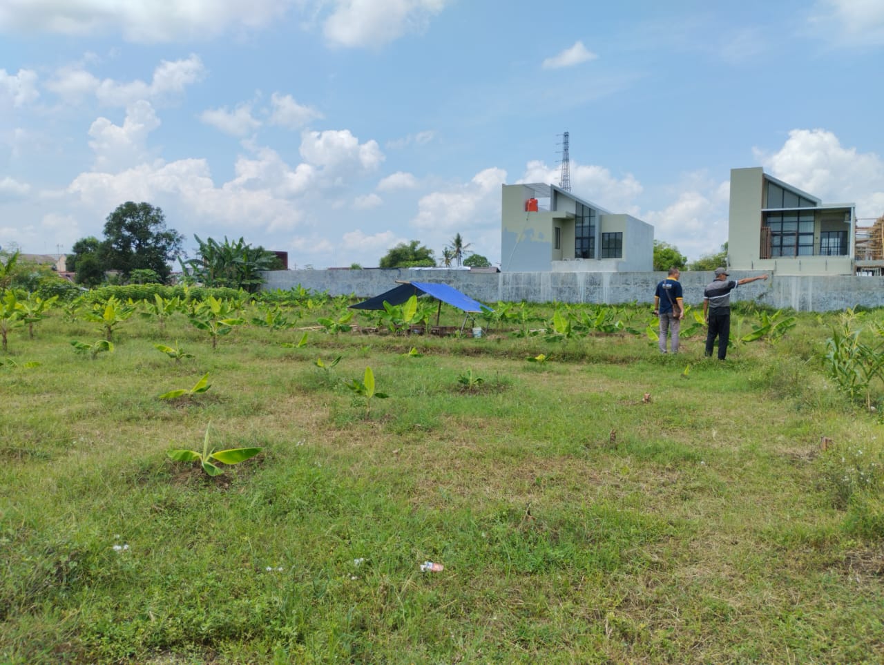 Dijual 2 Bidang Tanah Sawah Dalam Kota Purwokerto - Nempel Dengan Buntown Residence Purwokerto