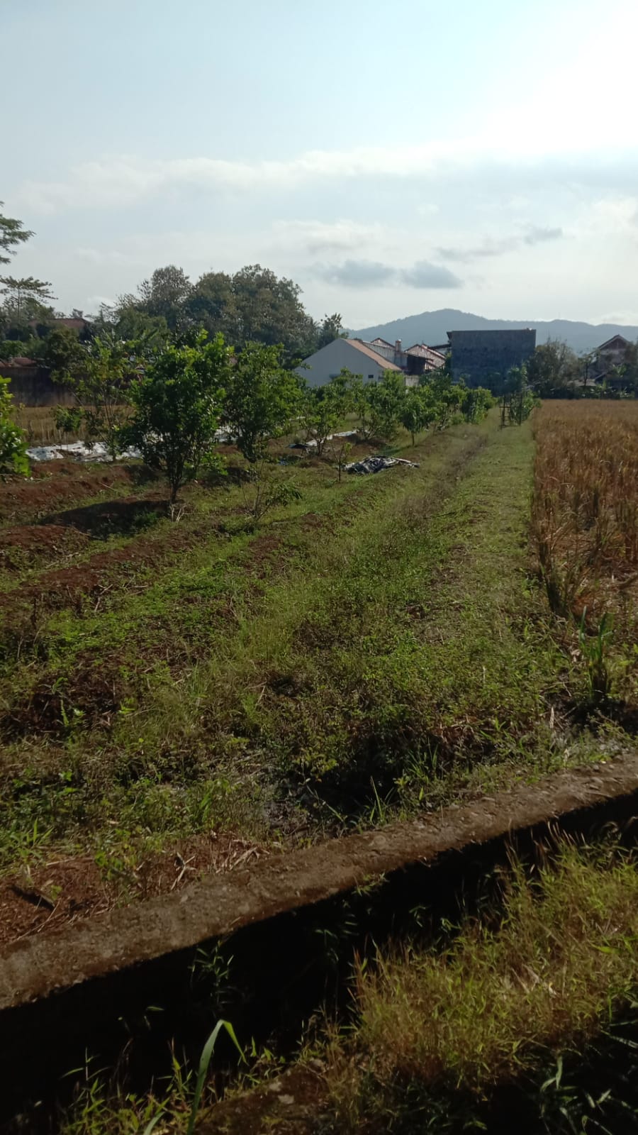 Dijual Rumah Kos dan Ruko Sudah Ada Minimarket 1 Menit ke RSU Banyumas