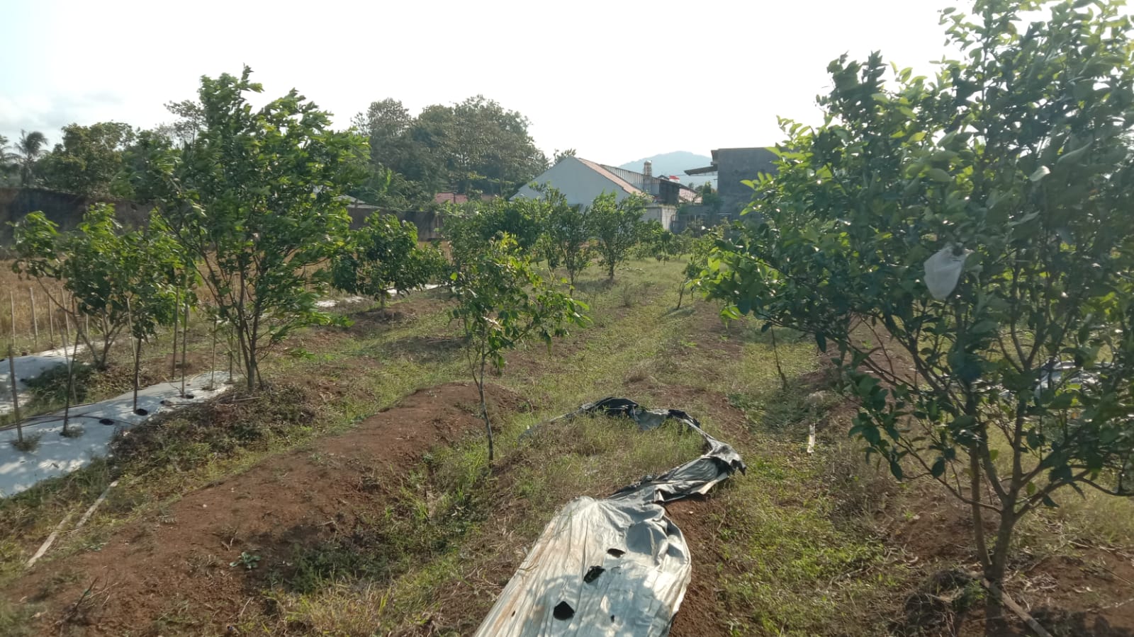 Dijual Rumah Kos dan Ruko Sudah Ada Minimarket 1 Menit ke RSU Banyumas