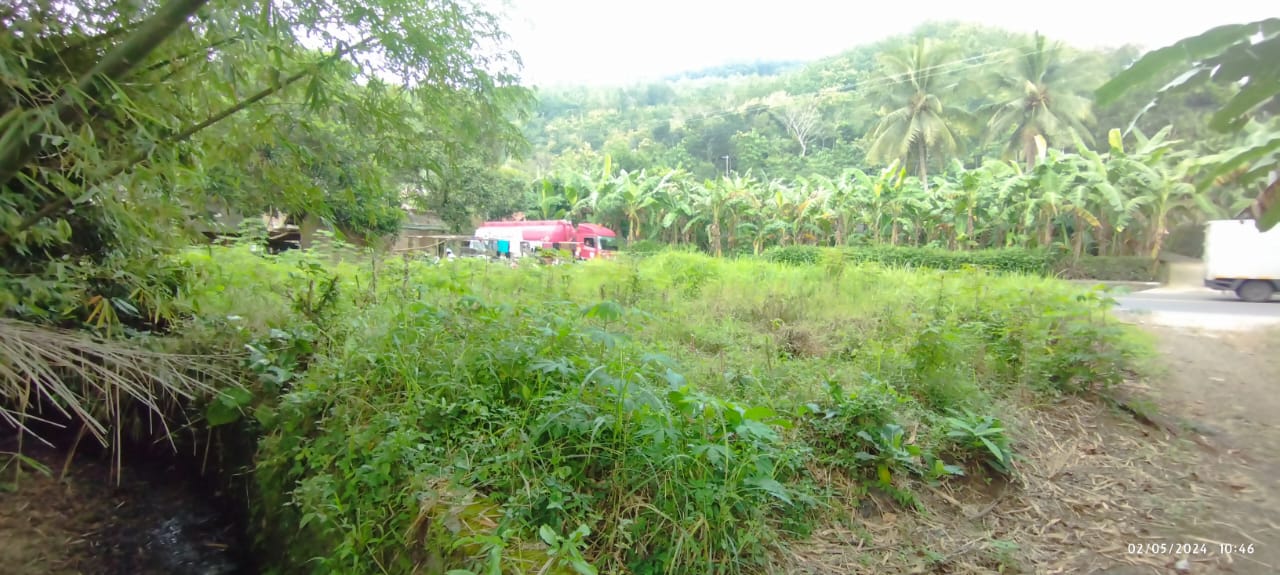 TANAH MURAH 33 UBIN, PINGGIR JALAN NASIONAL RAWALO