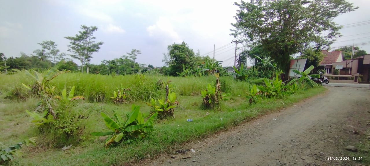 Dijual Tanah Pekarangan Jalan Raya Wirasana, 3 Menit RSUD Purbalingga