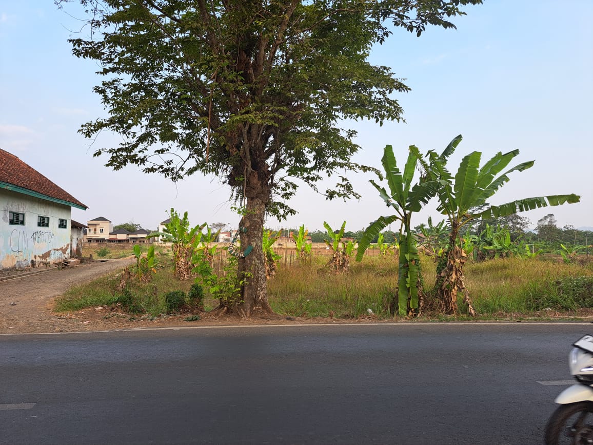 Dijual Tanah Pekarangan Jalan Raya Wirasana, 3 Menit RSUD Purbalingga