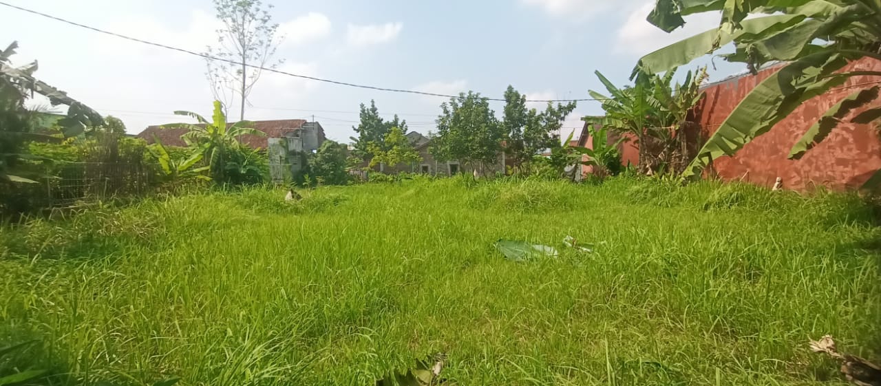 Dijual Tanah Siap Bangun Dekat Unsoed Univ Jenderal Soedirman Purwokerto