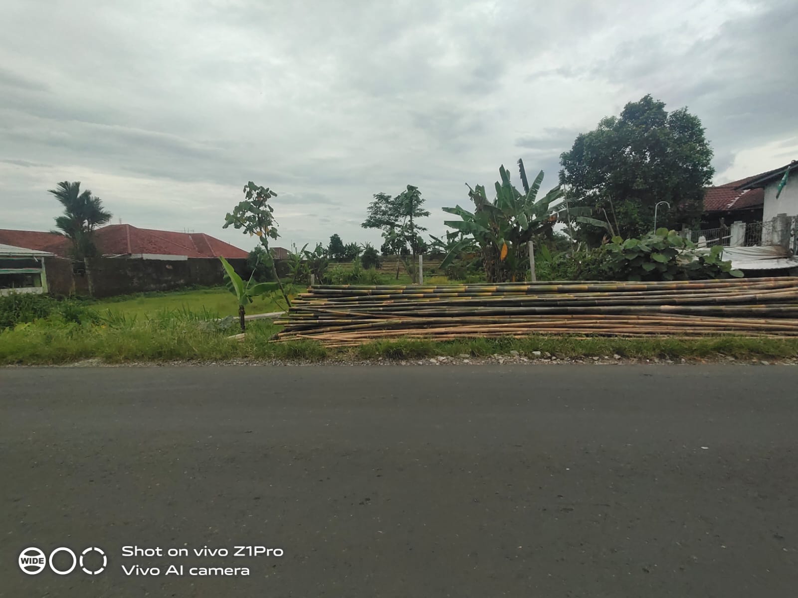 Tanah Strategis Kawasan Ramai Dekat Kampus UNSUD