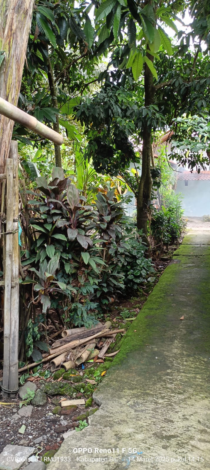 Dijual Tanah Strategis di Jalan Raya Kembaran
