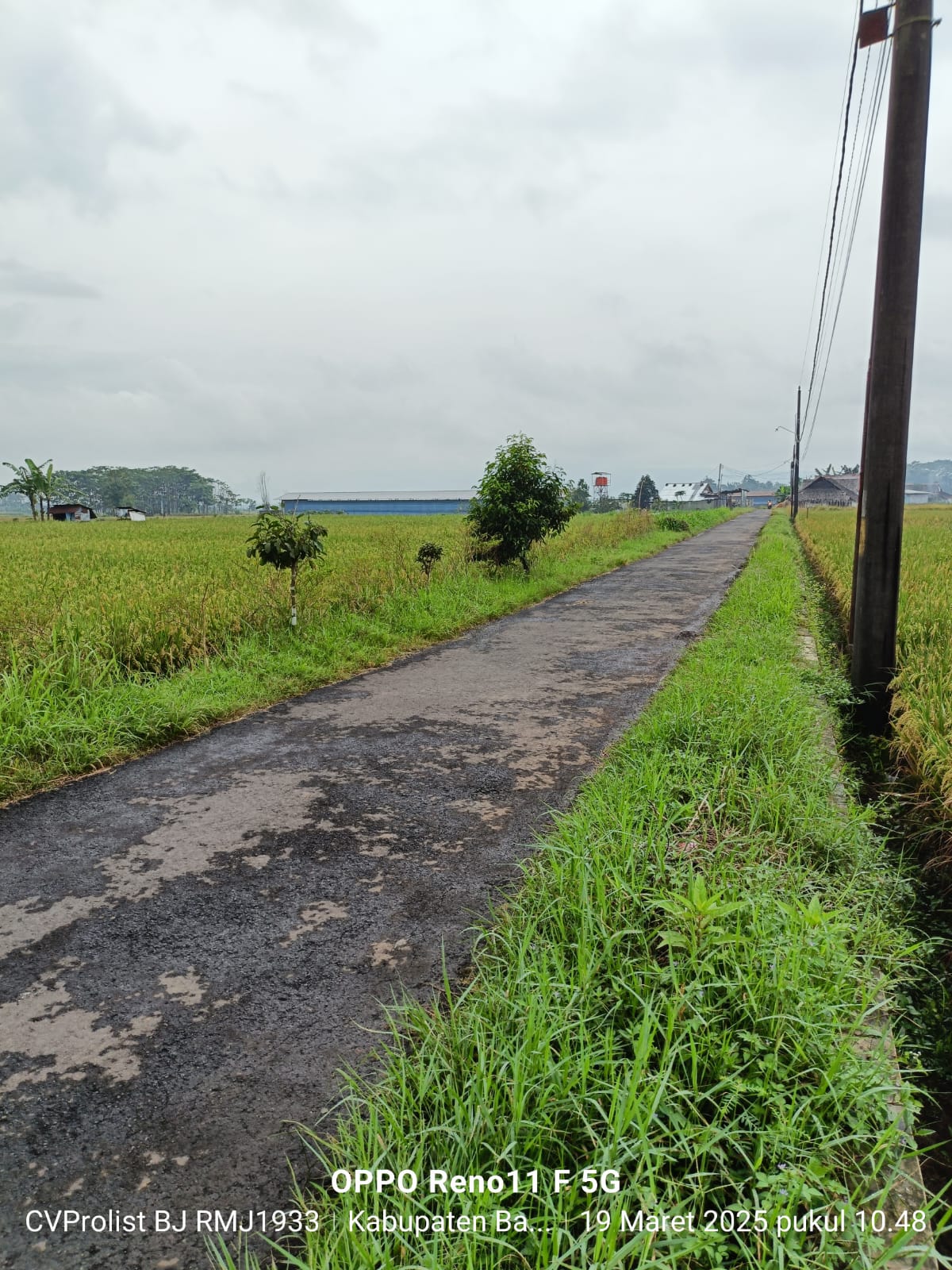 Dijual Tanah Sawah Di Purwodadi Kembaran
