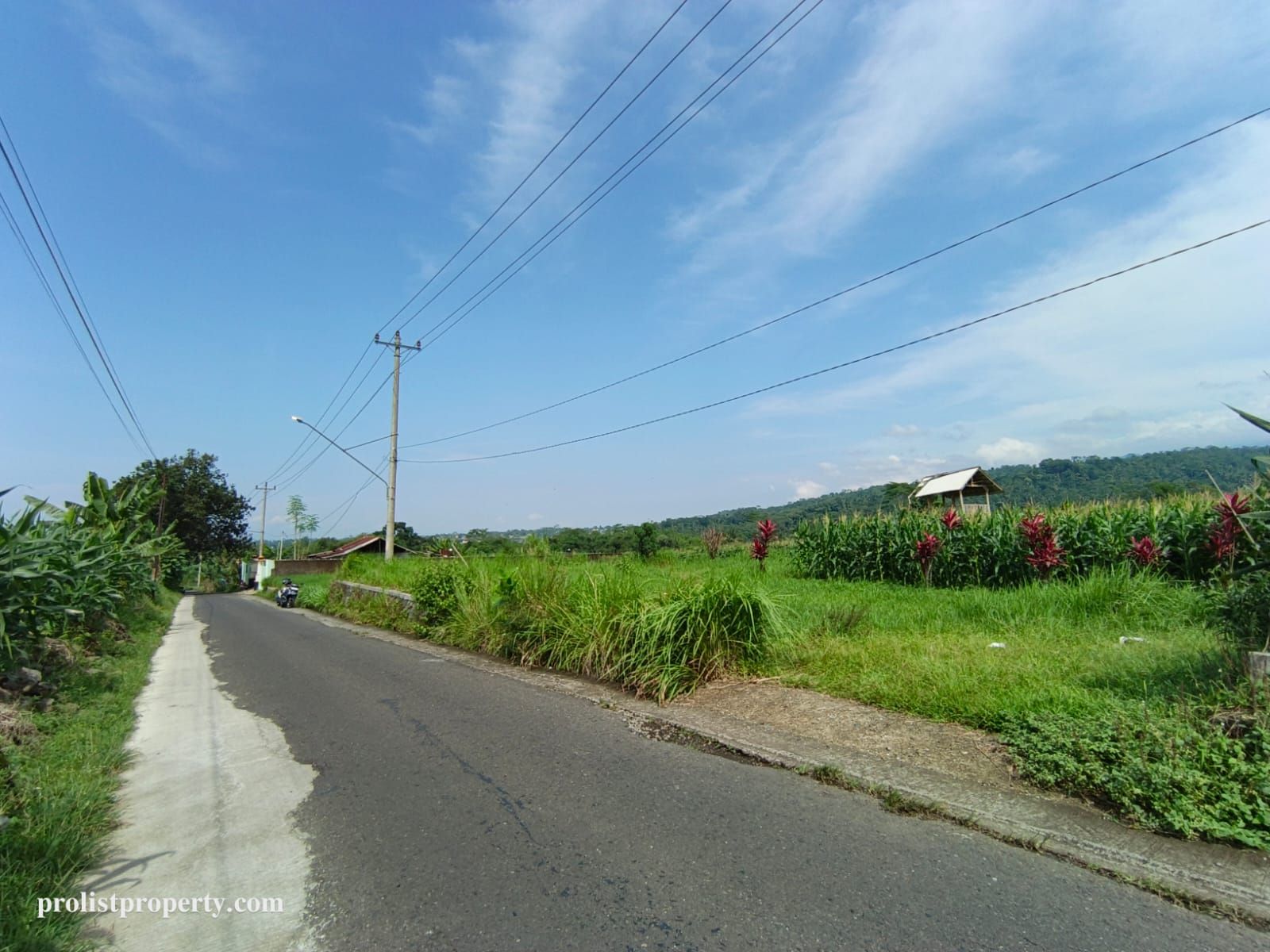 Dijual Tanah View Gunung Slamet Jalan Aspal Akses 2 Mobil