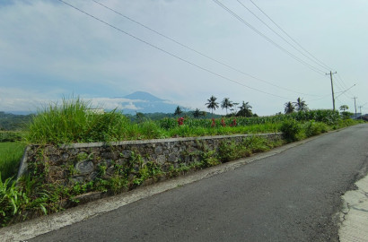 Dijual Tanah View Gunung Slamet Jalan Aspal Akses 2 Mobil
