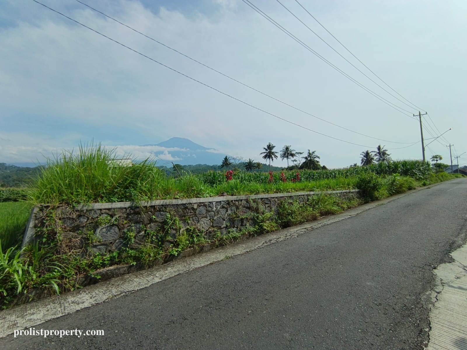 Dijual Tanah View Gunung Slamet Jalan Aspal Akses 2 Mobil