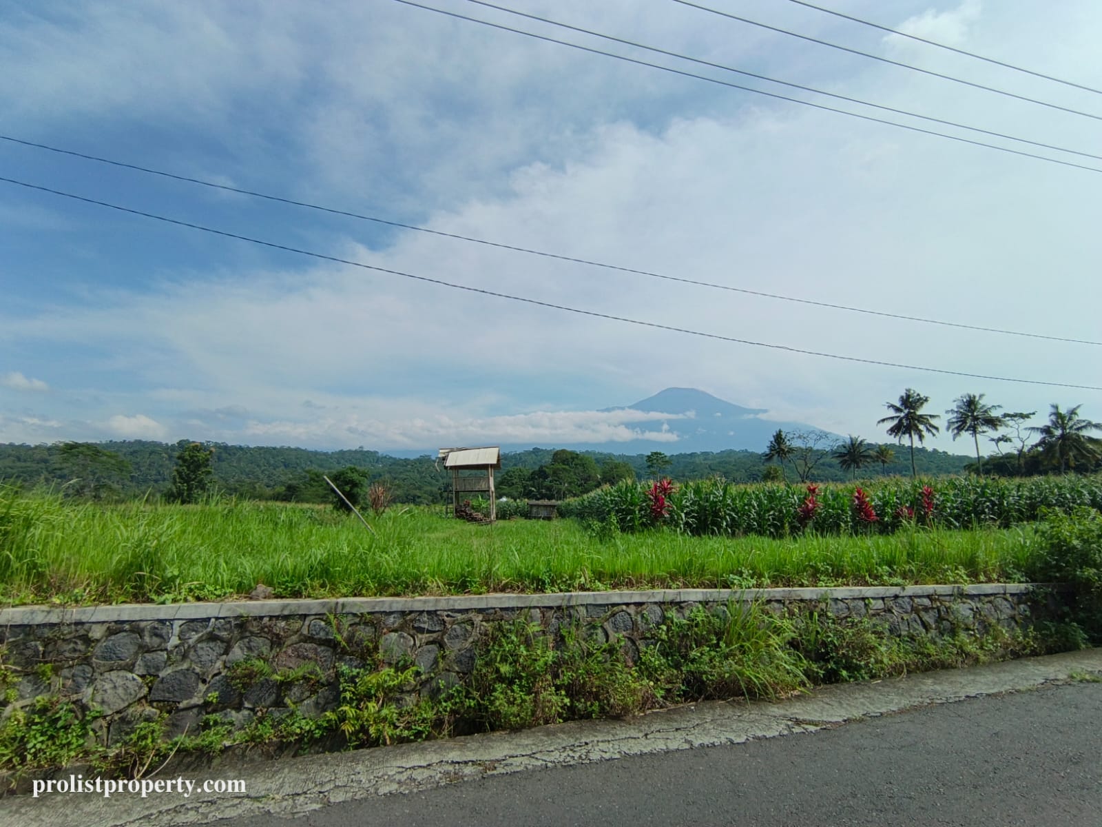 Dijual Tanah View Gunung Slamet Jalan Aspal Akses 2 Mobil
