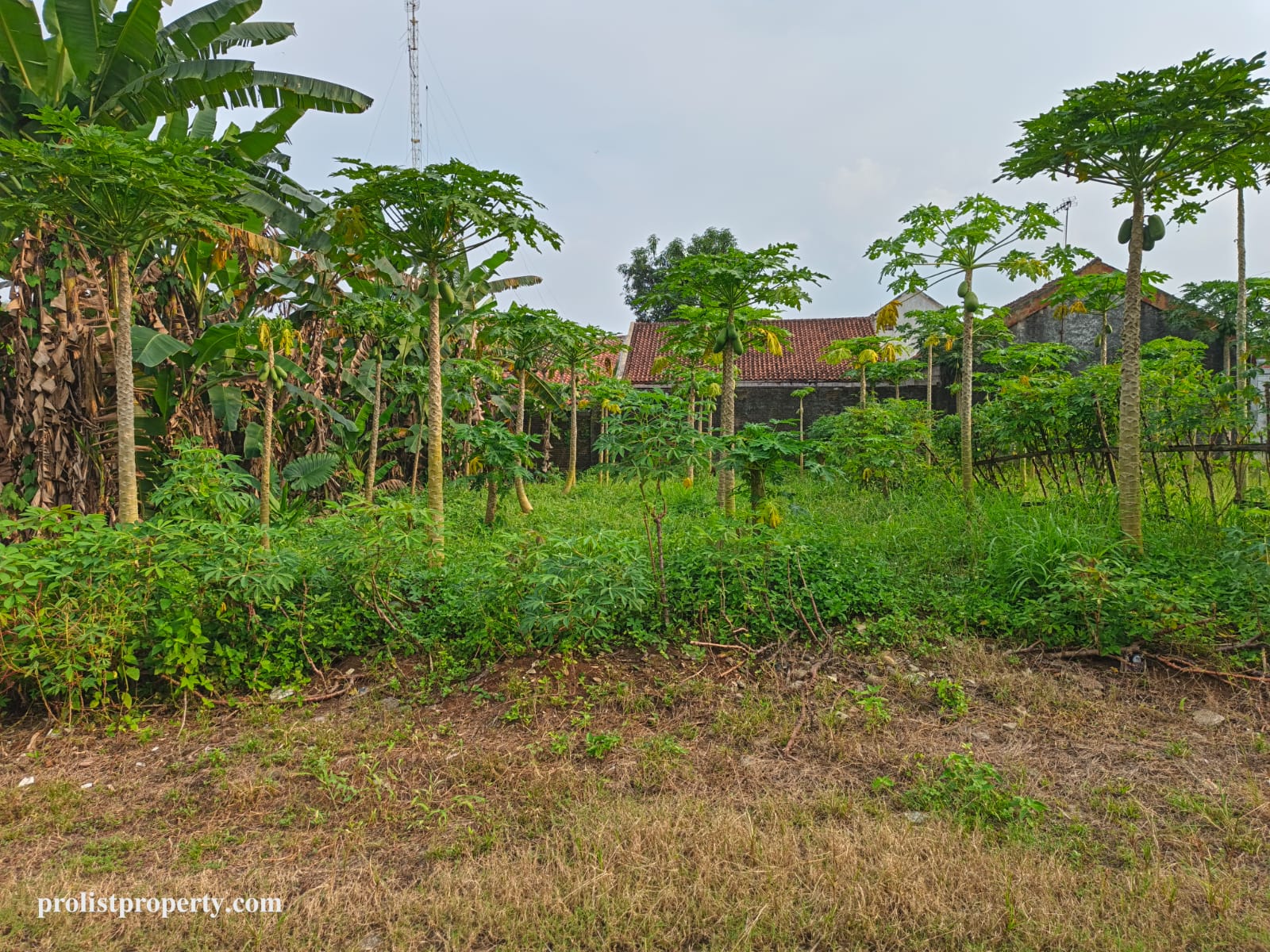 Dijual Tanah Kapling Strategis - 1 Menit Jalan Kaki Java Heritage Hotel