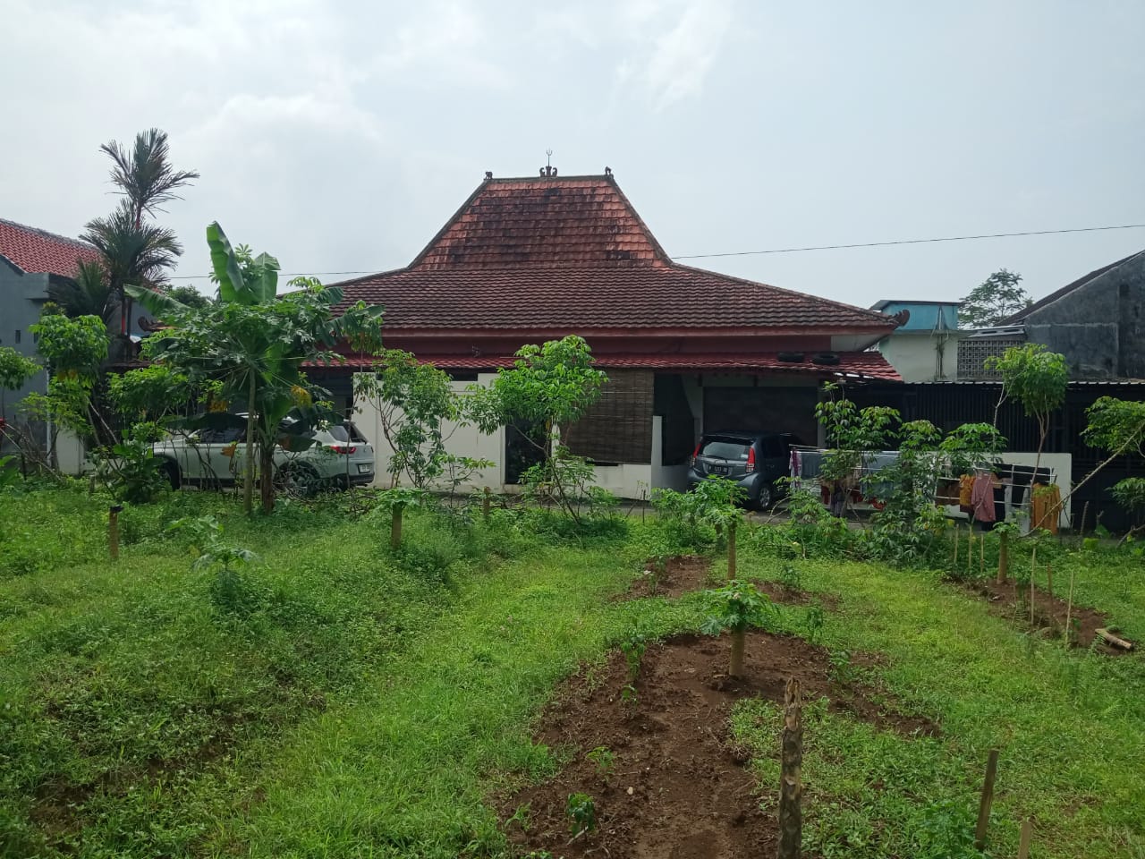 Dijual Joglo - Rumah Khas Jawa Berhawa Sejuk Di Desa Karanggintung Purwokerto