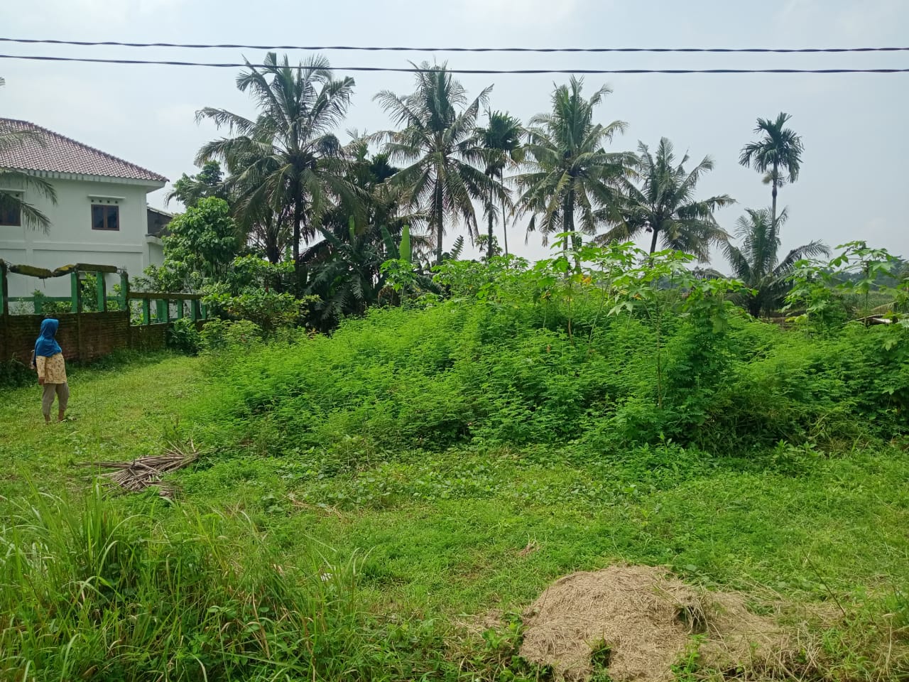 Dijual Sebidang Tanah Kering Bonus Pemandangan Sawah Purwokerto Utara