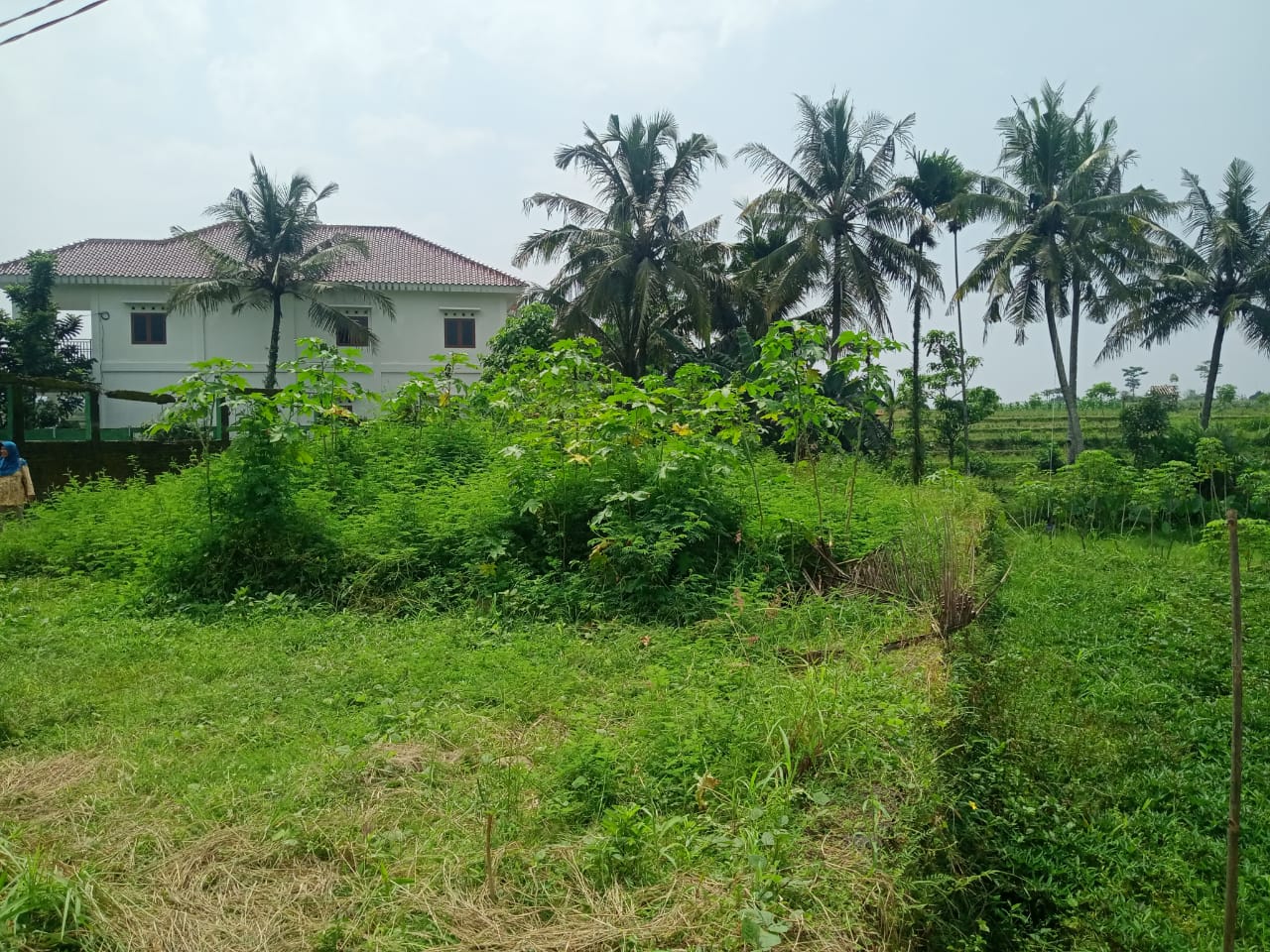 Dijual Sebidang Tanah Kering Bonus Pemandangan Sawah Purwokerto Utara