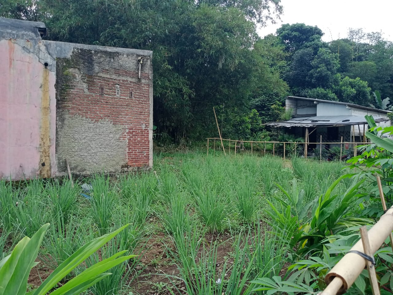 Dijual Tanah Kapling Luas di Cluster Banteran Indah Harga Bersahabat!
